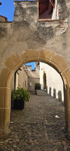 Moos - Stein am Rhein - Burg Hohenklingen