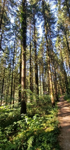 Klösterle Schleife (Genießerpfad)