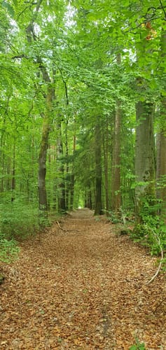 Von Chauseehaus über den Herzogstuhl