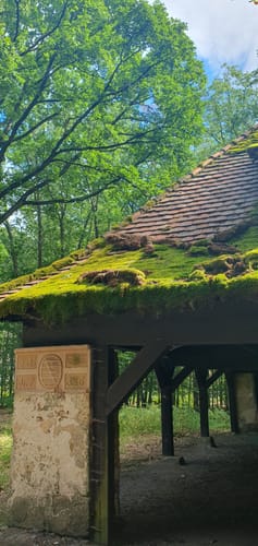 Von Chauseehaus über den Herzogstuhl