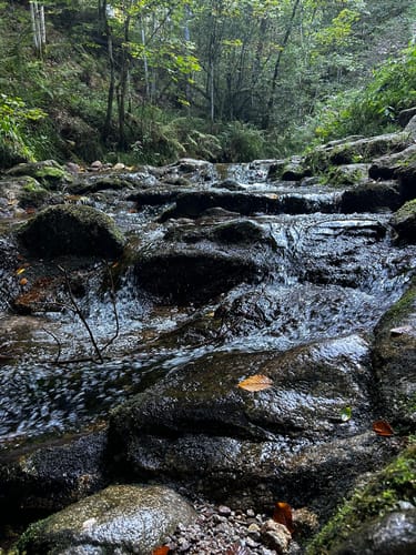 Allerheiligen-Wasserfall zum Schliffkopf Rundweg