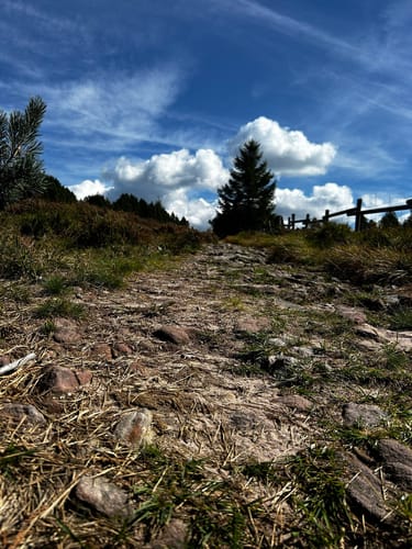 Allerheiligen-Wasserfall zum Schliffkopf Rundweg