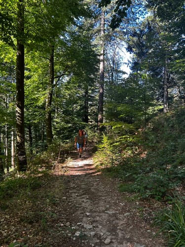 Allerheiligen-Wasserfall zum Schliffkopf Rundweg