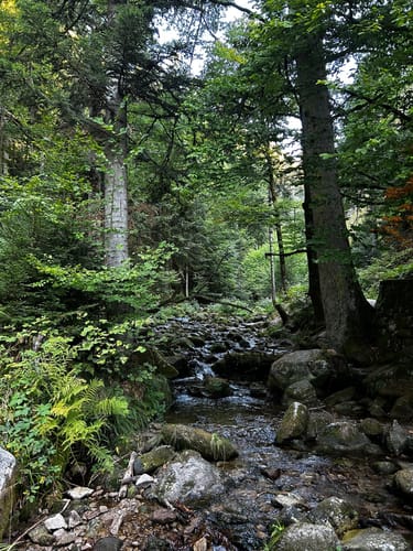 Allerheiligen-Wasserfall zum Schliffkopf Rundweg