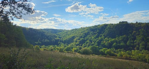 Von Wertheim zum Hohen Felsen