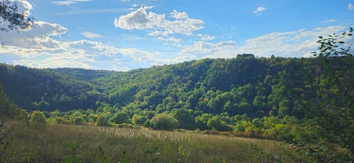 Von Wertheim zum Hohen Felsen