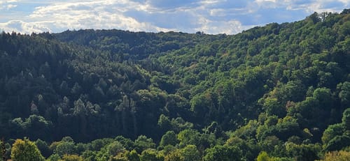Von Wertheim zum Hohen Felsen