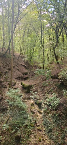 Von Wertheim zum Hohen Felsen