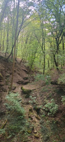 Von Wertheim zum Hohen Felsen