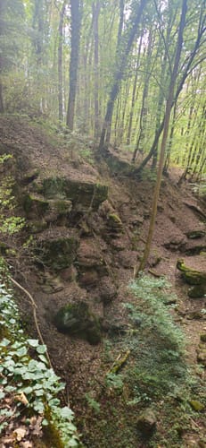 Von Wertheim zum Hohen Felsen