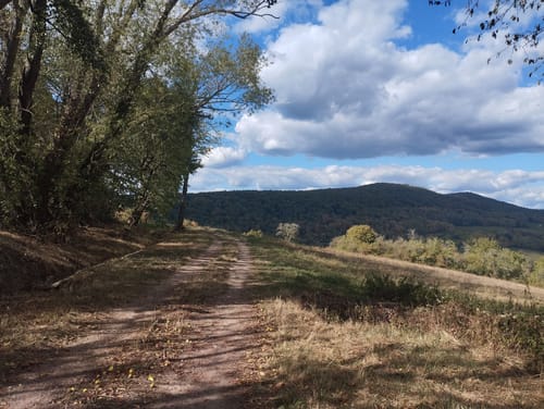 GR® 53 Etape 1 : Wissembourg - Obersteinbach