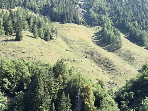 Königstalalm Rundweg