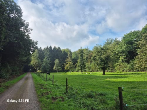 Kranenburg: Durch den Reichswald (A5)