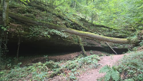 Teufelspfad (Premiumwanderweg)