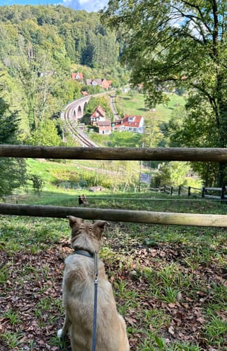 Entdeckertour Strümpfelbachtal