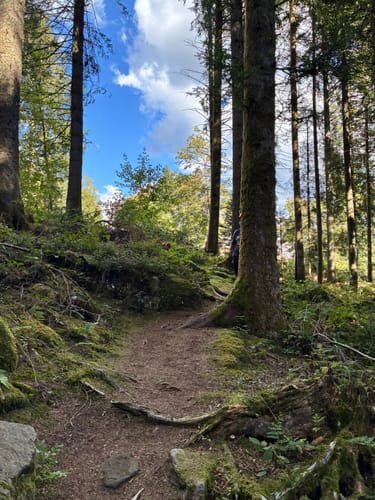 Kniebiser Klostersteig (Premiumspazierwanderweg)