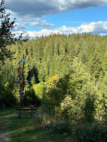 Kniebiser Klostersteig (Premiumspazierwanderweg)