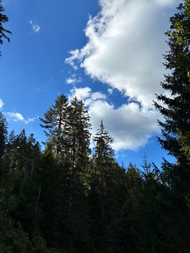 Kniebiser Klostersteig (Premiumspazierwanderweg)