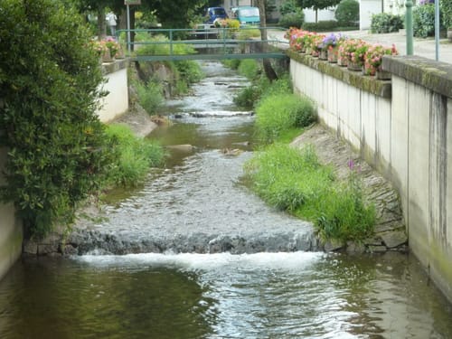 Südschwarzwald-Radweg Etappe 4: Bad Bellingen - Kirchzarten