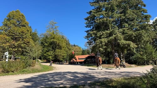 Parkplatz Haigerach - Moosturm - Kornebene