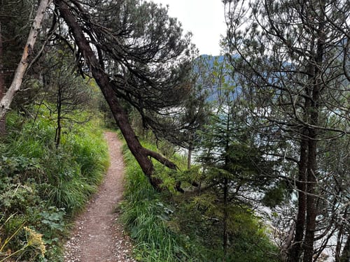 Rund um den Plansee