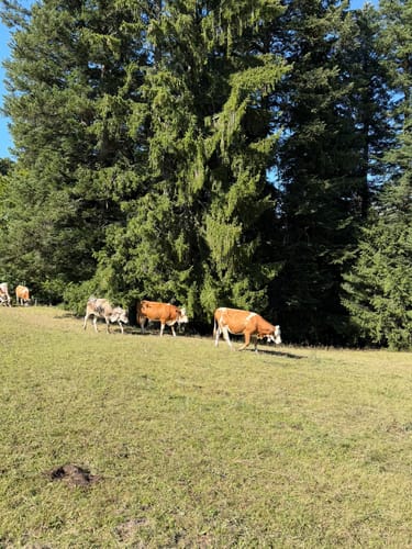 Auf dem Prinzenweg vom Schliersee an den Tegernsee