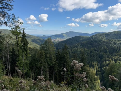 Auf dem Prinzenweg vom Schliersee an den Tegernsee