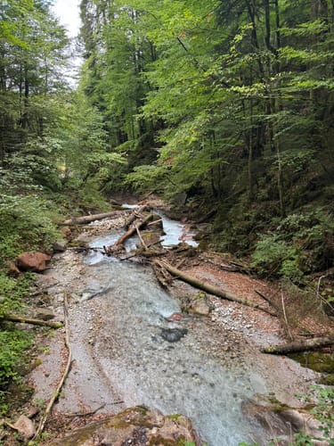 Wimbachklamm