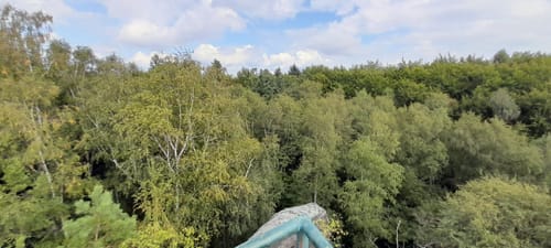 Zeisigstein - Hartenstein