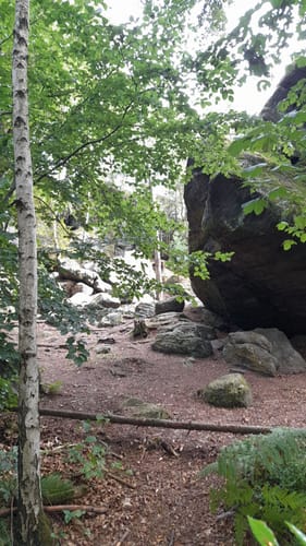 Zeisigstein - Hartenstein