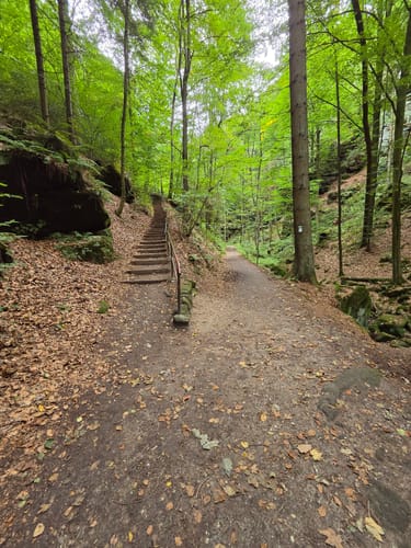 Uttewalde - Amselfall - Rathen [CLOSED]