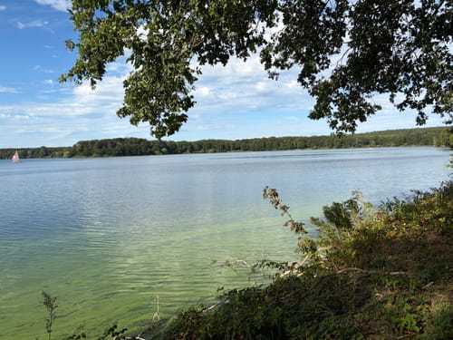 Westruper Heide und Halterner Stausee Rundweg