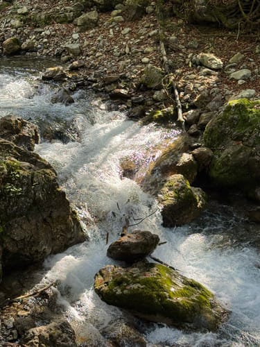 Durchs Oytal auf dem Dr-Hohenadel-Weg