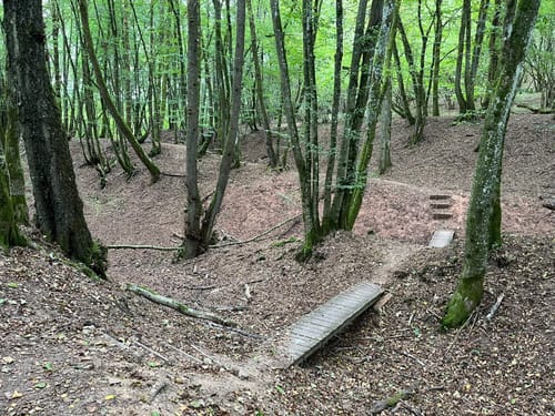 Bärenpfad (Premiumwanderweg)