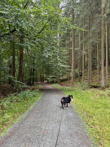 Massborn, Fuchstanz und Weiße Mauer Rundweg
