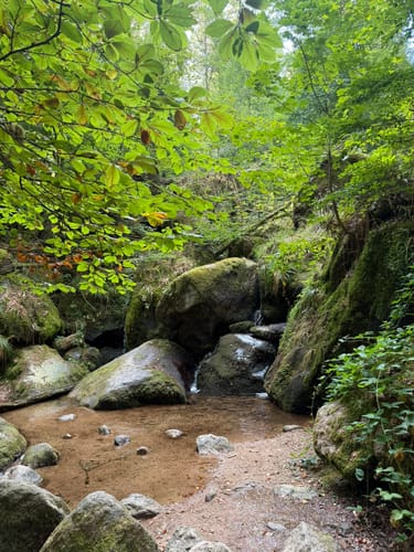 Gertelbach Wasserfälle Rundweg