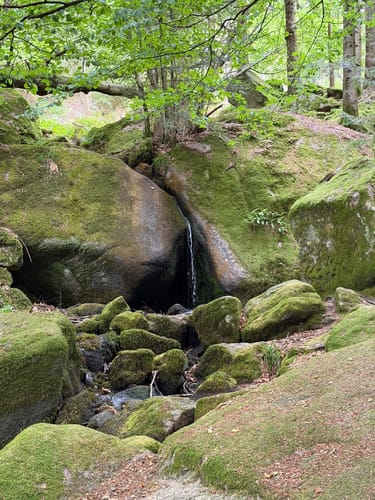Gertelbach Wasserfälle Rundweg