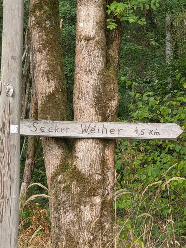 Holzbachschlucht und Secker Weiher Rundtour