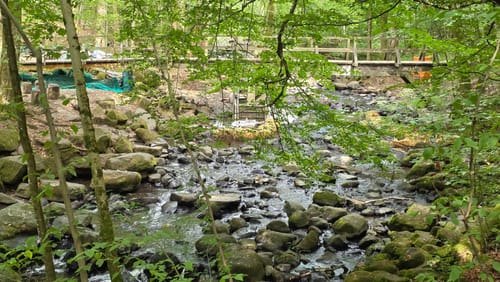 Holzbachschlucht und Secker Weiher Rundtour