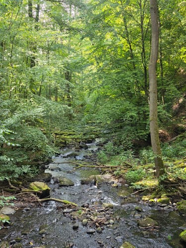 Holzbachschlucht und Secker Weiher Rundtour