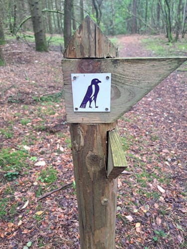Käbelicksee Rundweg