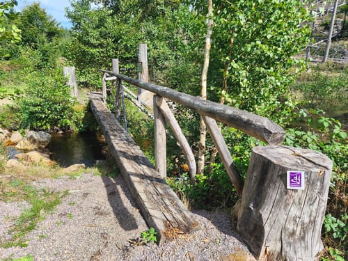 Börfinker Ochsentour (Traumschleife)