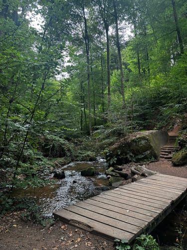 Trippstadt - Burg Wilenstein -Karlstalschlucht