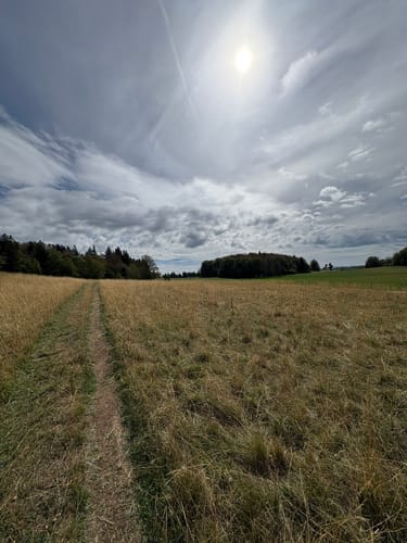 Zollernburg-Panorama (Traufgang)