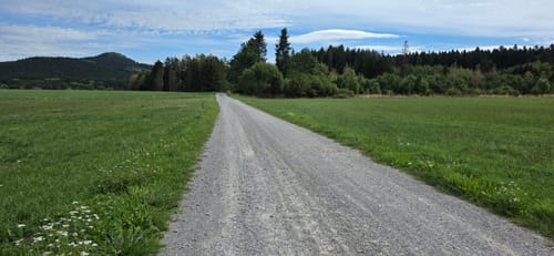 Runde im Haldenwald