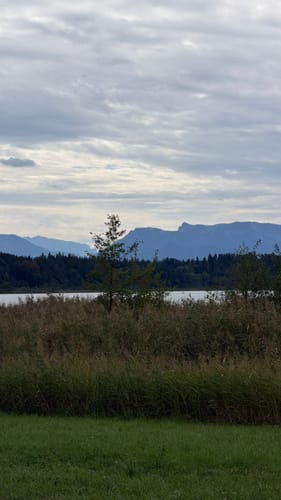 Rund um den Hartsee