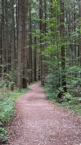 Rund um den Hartsee
