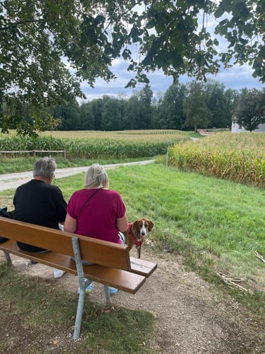 Nordic Walking Schützing