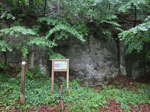 Paderborner Höhenweg: Panoramatour um Neuenbeken