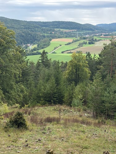 Jurasteig Etappe 7: Hohenburg - Kastl